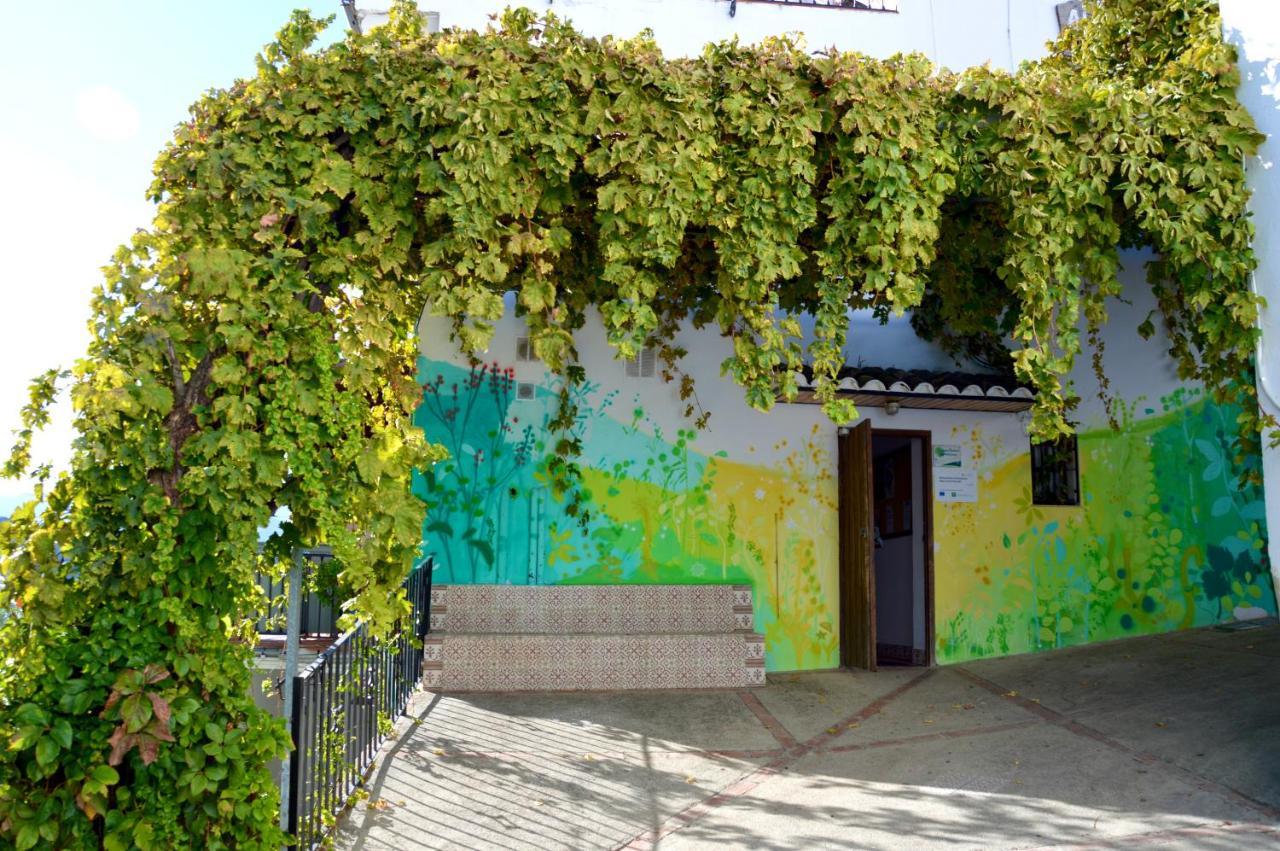 Ecoalbergue Rural De Algodonales Exterior foto