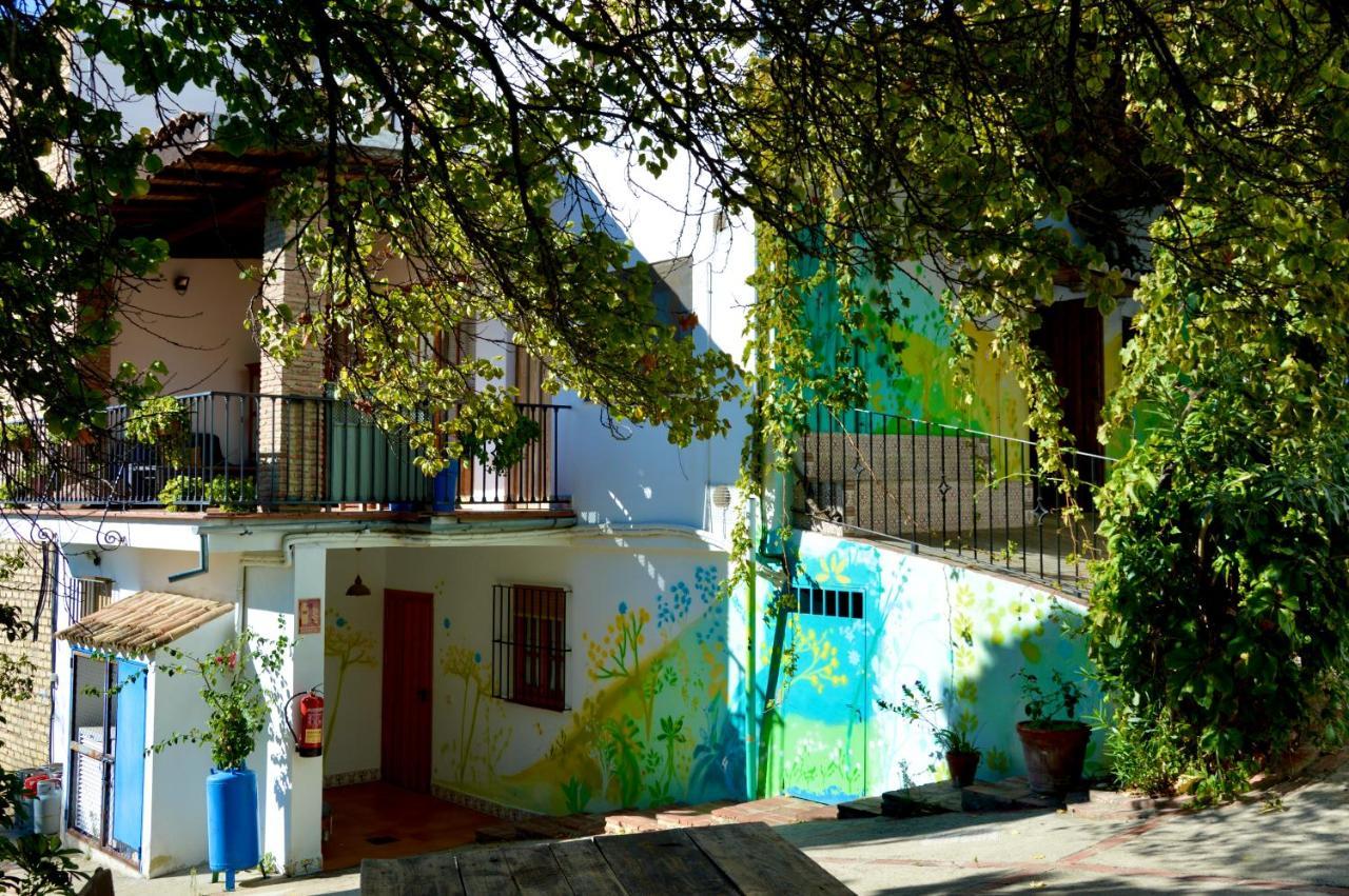 Ecoalbergue Rural De Algodonales Exterior foto